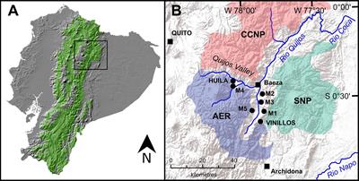 Incorporating a palaeo-perspective into Andean montane forest restoration